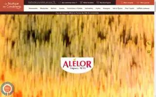 Alelor-boutique.fr Screenshot 2024-07-03 03:41:53