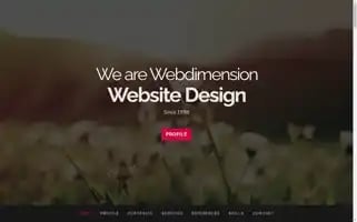 Webdimension.co.uk Screenshot 2024-06-29 14:01:21