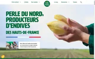 Perledunord.com Screenshot 2024-06-17 16:36:38