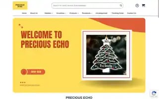 Preciousecho.com Screenshot 2024-05-28 10:35:29