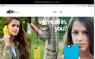 Theallincase.com Screenshot 2024-04-17 15:46:27