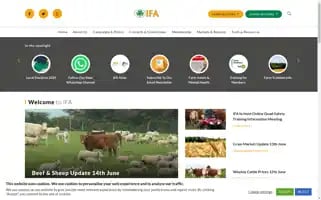 Ifa.ie Screenshot 2024-06-15 17:47:41
