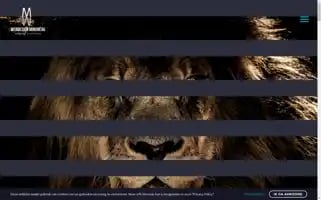 Webdesign-mingneau.be Screenshot 2024-06-16 23:25:53