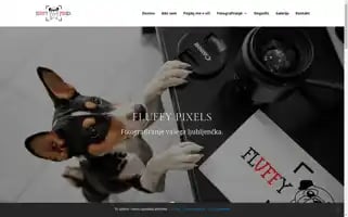 Fluffypixels.si Screenshot 2024-07-01 12:09:55