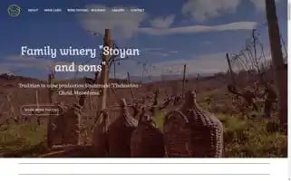 Sswinery.com Screenshot 2024-05-23 15:20:52