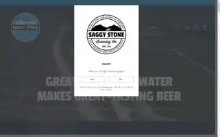 Saggystone.co.za Screenshot 2024-06-12 07:25:14