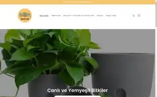 Mosyon.com Screenshot 2024-04-27 06:44:43