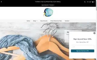 Velvetbleuboutique.com Screenshot 2024-04-22 13:47:08