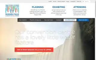 Fallsconventions.com Screenshot 2024-07-02 07:11:36