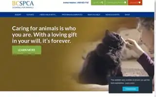 Spca.bc.ca Screenshot 2024-05-05 22:16:32