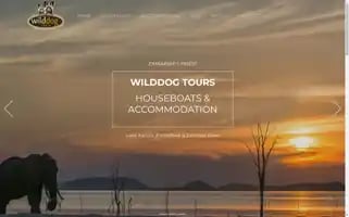 Wilddogtours.com Screenshot 2024-04-26 01:24:08