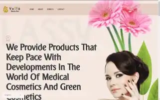 Voila4b.com Screenshot 2024-05-22 16:20:27