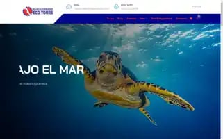 Loretobaytours.com Screenshot 2024-04-19 08:29:25