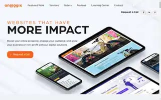 Anologix.com Screenshot 2024-07-01 00:12:42