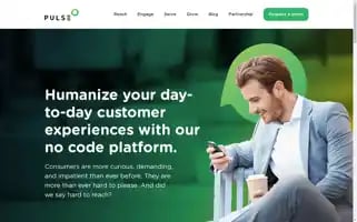 Hellopulse.io Screenshot 2024-06-13 05:10:06