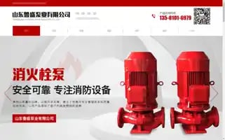 Shandonglusheng.com Screenshot 2024-07-07 19:21:05