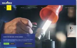 Dalminex.de Screenshot 2024-07-04 16:39:22
