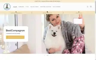 Bestcompagnon.com Screenshot 2024-04-27 15:23:39