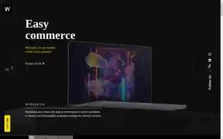 Websonica.it Screenshot 2024-06-16 11:55:27