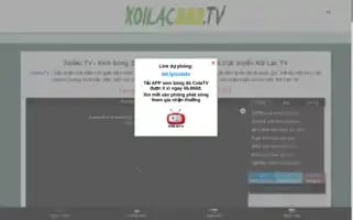 Literateowl.com Screenshot 2024-05-12 18:28:00