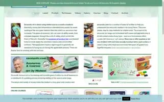 Encaustic.com Screenshot 2024-06-12 11:54:04