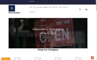 Promadore.com Screenshot 2024-05-20 04:44:38