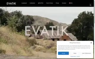 Evatik.com Screenshot 2024-07-01 08:45:55
