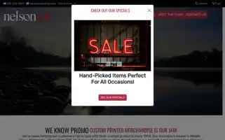 Nelsonink.com Screenshot 2024-05-13 02:51:07