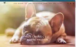 Chic-canin.com Screenshot 2024-04-27 08:44:40