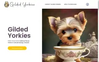 Gildedyorkies.com Screenshot 2024-05-26 10:26:25