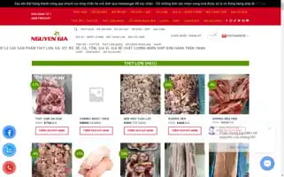 Nguyengiajapan.com Screenshot 2024-06-24 23:25:50