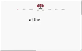 Billow.co.za Screenshot 2024-06-14 00:36:40