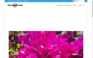 Fuertegolftravel.com Screenshot 2024-04-24 09:28:57