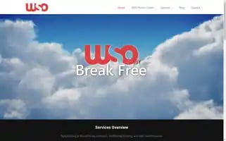 Wso.host Screenshot 2024-05-15 06:09:21