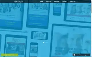 Envigor.com Screenshot 2024-07-01 12:14:51