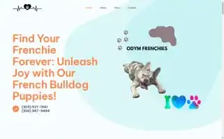Odymfrenchies.com Screenshot 2024-05-28 11:11:36
