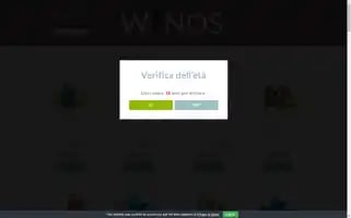 Winos.store Screenshot 2024-05-22 19:34:18