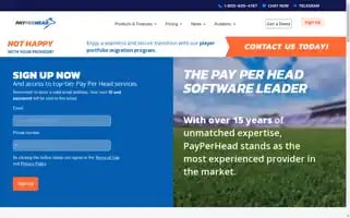 Payperhead.com Screenshot 2024-07-05 14:38:33