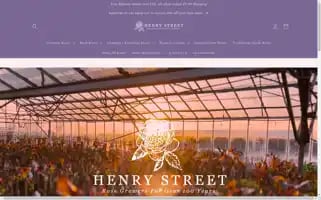 Henrystreetnursery.co.uk Screenshot 2024-04-16 11:21:49