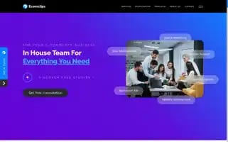 Ecomclips.com Screenshot 2024-05-09 12:55:34