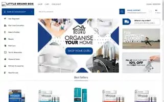 Littlebrandbox.com Screenshot 2024-06-18 00:58:11