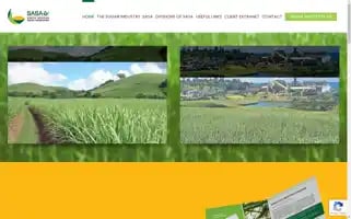 Sasa.org.za Screenshot 2024-07-06 15:01:44