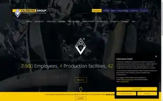 Valbruna-stainless-steel.com Screenshot 2024-06-14 18:53:32