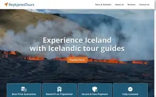 Reykjanestours.is Screenshot 2024-04-18 10:43:25