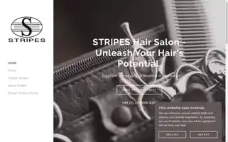 Stripesn14.uk Screenshot 2024-04-16 00:49:31