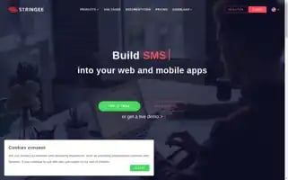 Stringee.com Screenshot 2024-05-15 13:43:27