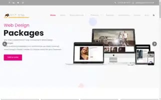 Papervoice.co.uk Screenshot 2024-07-02 13:32:44