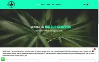 Bigbudcannabisdelivery.com Screenshot 2024-05-25 04:46:46