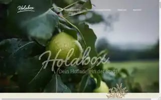 Holabox.ch Screenshot 2024-07-09 00:43:45