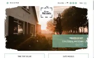 Ervehasselo.nl Screenshot 2024-06-15 16:22:38